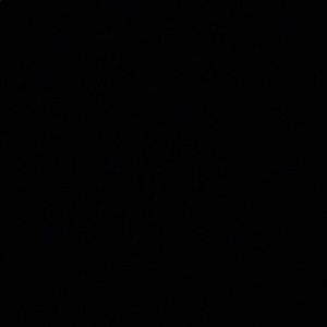 Meet your Posher, Richard